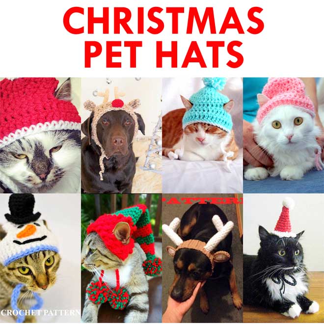 Christmas Pet Hat Crochet Pattern Roundup!